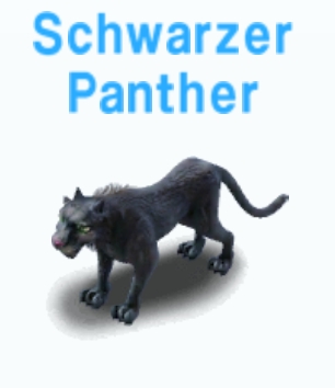 Schwarzer Panther 